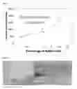 Fig. 02 - A BASE OIL ADDITIVE