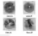 Fig. 04 - Method of forming an antifoam granule containing a silicone polyether