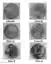Fig. 05 - Method of forming an antifoam granule containing a silicone polyether