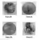 Fig. 06 - Method of forming an antifoam granule containing a silicone polyether