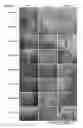 Fig. 05 - Cell support composite and method for producing cell support composite