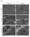 Fig. 10 - Cell support composite and method for producing cell support composite