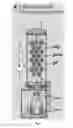 Fig. 02 - Method of culturing species for manufacturing of astaxanthin