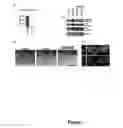 Fig. 09 - METHOD FOR GENERATING SOMATIC STEM CELLS