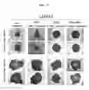 Fig. 03 - METHOD FOR PRODUCING RETINAL TISSUE