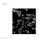 Fig. 14 - Pluripotent stem cell production system