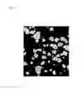 Fig. 15 - Pluripotent stem cell production system