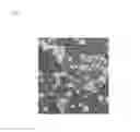 Fig. 19 - Pluripotent stem cell production system