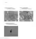 Fig. 44 - Pluripotent stem cell production system