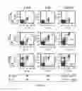 Fig. 05 - Methods and materials for expanding antigen-specific T cells in culture