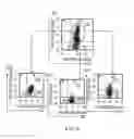 Fig. 10 - Methods and materials for expanding antigen-specific T cells in culture