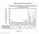 Fig. 17 - Methods and materials for expanding antigen-specific T cells in culture