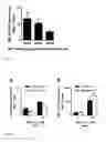 Fig. 02 - METHOD FOR NATURAL KILLER CELL EXPANSION