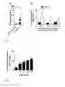 Fig. 03 - METHOD FOR NATURAL KILLER CELL EXPANSION