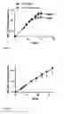 Fig. 04 - METHOD FOR NATURAL KILLER CELL EXPANSION