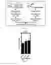 Fig. 02 - Methods of expanding hematopoietic stem cells, compositions, and methods of use thereof