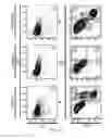 Fig. 04 - Methods of expanding hematopoietic stem cells, compositions, and methods of use thereof