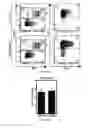 Fig. 16 - Methods of expanding hematopoietic stem cells, compositions, and methods of use thereof