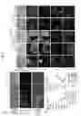 Fig. 05 - Method for reducing pluripotent stem cells, method for producing cell population having reduced pluripotent stem cells