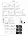 Fig. 07 - Method for reducing pluripotent stem cells, method for producing cell population having reduced pluripotent stem cells