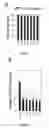 Fig. 07 - METHOD FOR INDUCING DIFFERENTIATION OF STEM CELLS