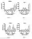 Fig. 13 - METHOD FOR INDUCING DIFFERENTIATION OF STEM CELLS