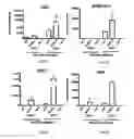 Fig. 15 - METHOD FOR INDUCING DIFFERENTIATION OF STEM CELLS