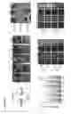 Fig. 05 - Three-dimensional differentiation of epiblast spheroids to kidney organoids models stage-specific epithelial physiology, morphogenesis, and disease