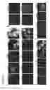 Fig. 09 - Three-dimensional differentiation of epiblast spheroids to kidney organoids models stage-specific epithelial physiology, morphogenesis, and disease