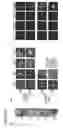 Fig. 33 - Three-dimensional differentiation of epiblast spheroids to kidney organoids models stage-specific epithelial physiology, morphogenesis, and disease