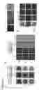 Fig. 59 - Three-dimensional differentiation of epiblast spheroids to kidney organoids models stage-specific epithelial physiology, morphogenesis, and disease