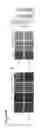 Fig. 62 - Three-dimensional differentiation of epiblast spheroids to kidney organoids models stage-specific epithelial physiology, morphogenesis, and disease