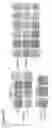 Fig. 70 - Three-dimensional differentiation of epiblast spheroids to kidney organoids models stage-specific epithelial physiology, morphogenesis, and disease