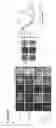 Fig. 77 - Three-dimensional differentiation of epiblast spheroids to kidney organoids models stage-specific epithelial physiology, morphogenesis, and disease