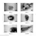 Fig. 02 - Viral vaccines and methods of forming the same