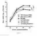 Fig. 18 - Mutations that confer genetic stability to additional genes in influenza viruses