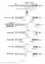 Fig. 21 - Mutations that confer genetic stability to additional genes in influenza viruses