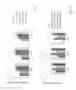 Fig. 24 - Mutations that confer genetic stability to additional genes in influenza viruses