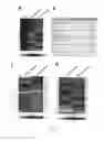 Fig. 33 - Mutations that confer genetic stability to additional genes in influenza viruses