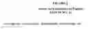 Fig. 03 - COMPOSITIONS FOR INCREASING POLYPEPTIDE STABILITY AND ACTIVITY, AND RELATED METHODS