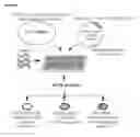 Fig. 08 - SYSTEMS AND METHODS FOR SELECTION OF GRNA TARGETING STRANDS FOR CAS9 LOCALIZATION