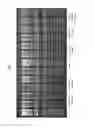 Fig. 06 - Small-molecule mediated size selection of nucleic acids