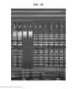Fig. 17 - Small-molecule mediated size selection of nucleic acids