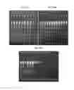 Fig. 25 - Small-molecule mediated size selection of nucleic acids