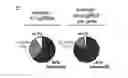 Fig. 01 - METHODS AND COMPOSITIONS FOR ENHANCING GENE EDITING