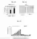 Fig. 03 - METHODS AND COMPOSITIONS FOR ENHANCING GENE EDITING
