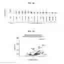 Fig. 06 - METHODS AND COMPOSITIONS FOR ENHANCING GENE EDITING