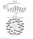 Fig. 07 - METHODS AND COMPOSITIONS FOR ENHANCING GENE EDITING