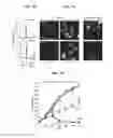 Fig. 08 - METHODS AND COMPOSITIONS FOR ENHANCING GENE EDITING