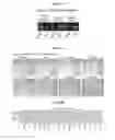 Fig. 12 - METHODS AND COMPOSITIONS FOR ENHANCING GENE EDITING
